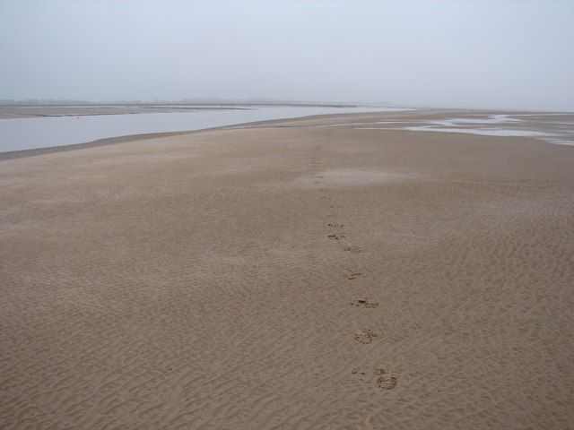 Sandy mud or muddy sand
