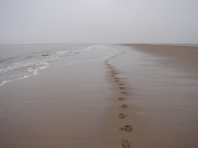 Stranger on the shore