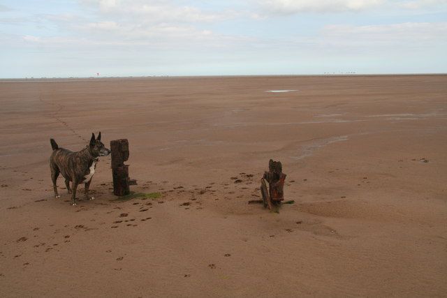 Huge beach at Donna Nook
