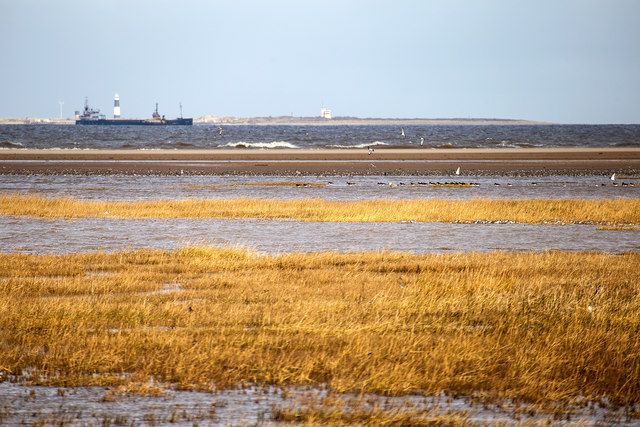 Bird's-eye view of Haile Sand Fort