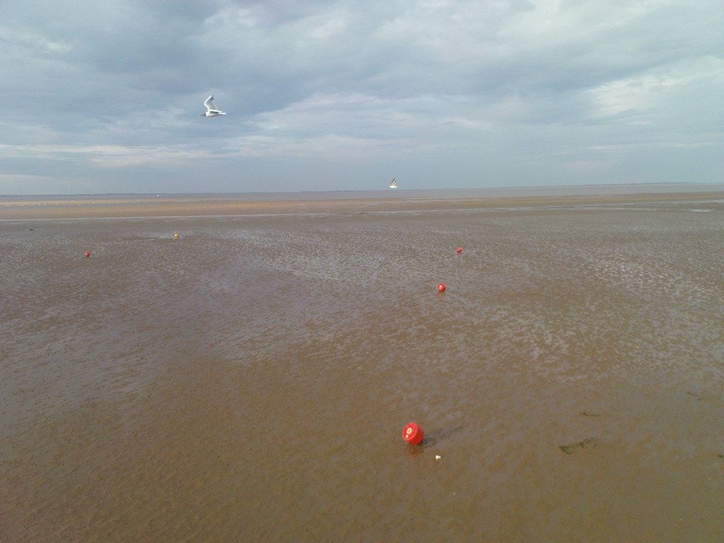 Cleethorpes beach and seagulls