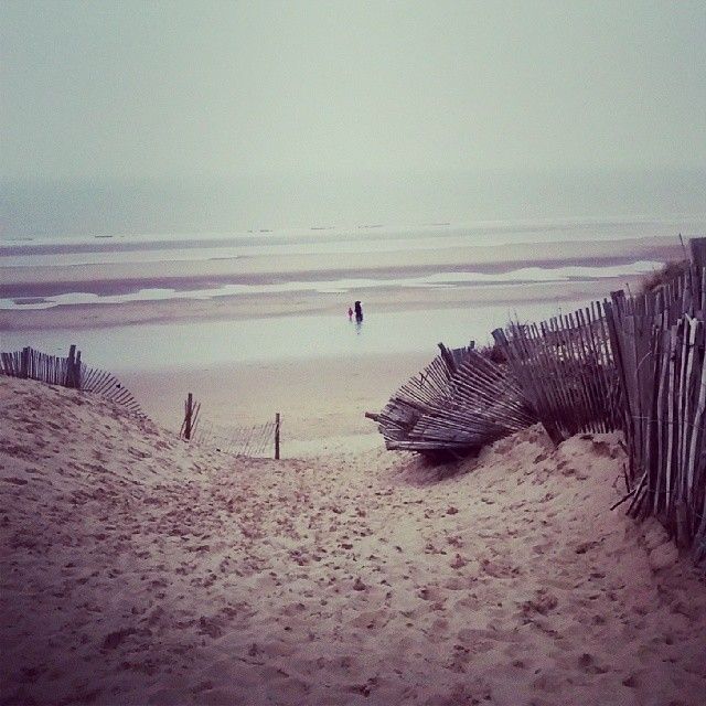 Afternoon out to spot red squirrels and walk on the sand dunes #trees #forest #wood #nature #igersuk #merseyside #seaside