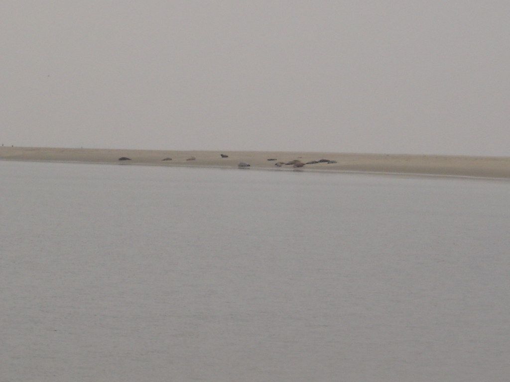 2006-04-20 04-23 Borkum