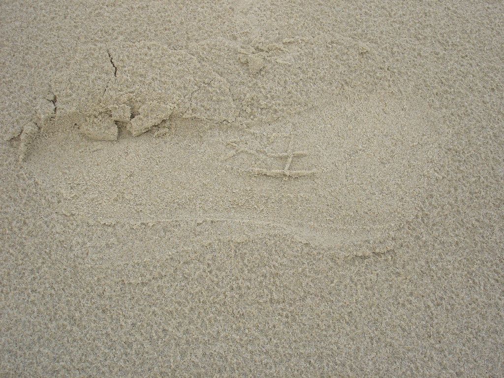 2006-04-20 04-23 Borkum