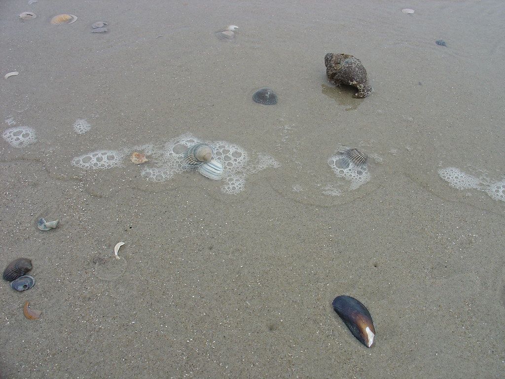 2006-04-20 04-23 Borkum