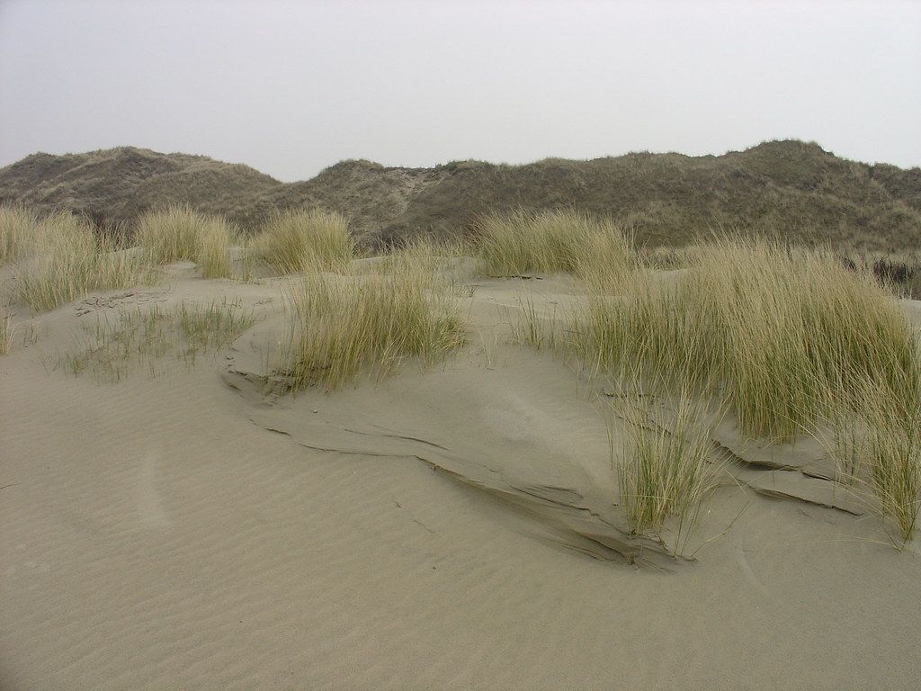 2006-04-20 04-23 Borkum