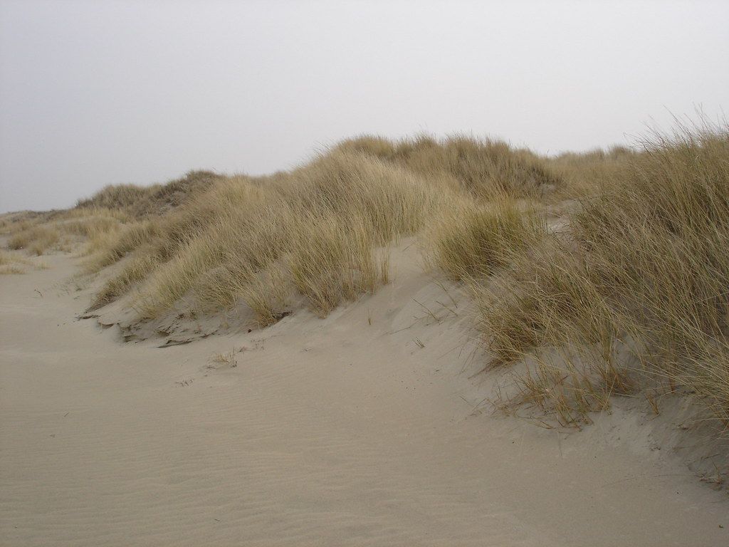 2006-04-20 04-23 Borkum
