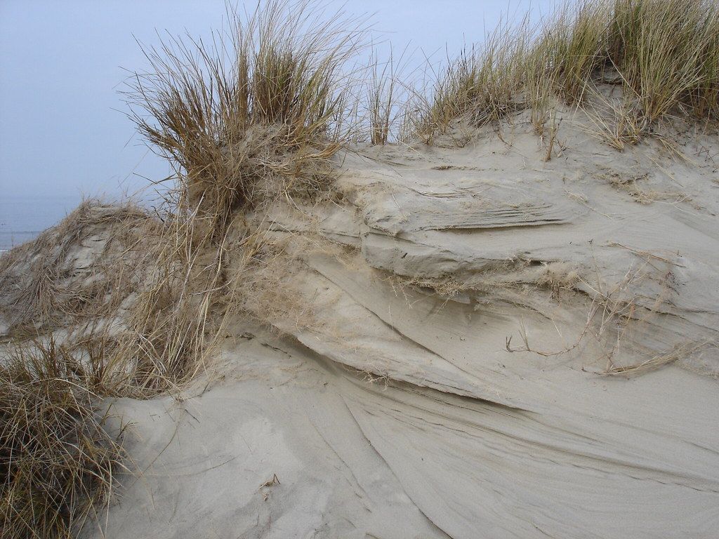 2006-04-20 04-23 Borkum