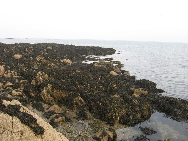 Rocky foreshore at Bremore