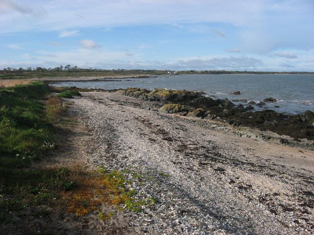 Shoreline at Bremore