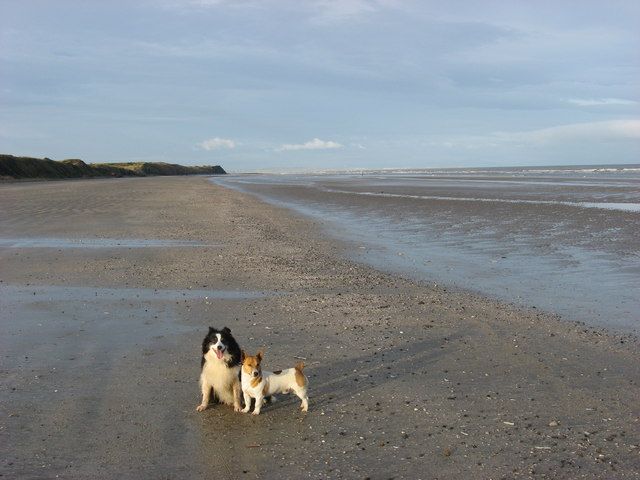Gormanston Strand, Co. Meath