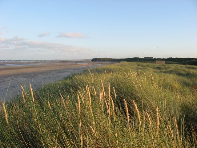 Marram grass and strand at Mosney, Co. Meath