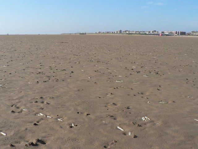 St. Annes: shells on the sand