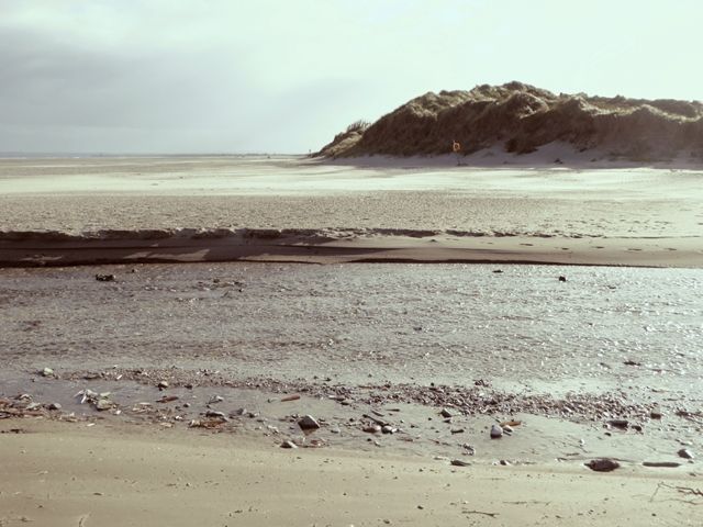 Stream mouth at Termonfeckin