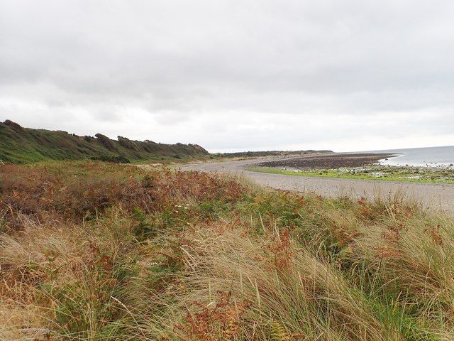 Farm road along the seaward edge of a raised beach
