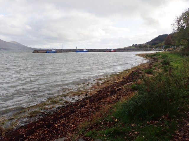 View ESE along the shoreline towards Greer's Pier