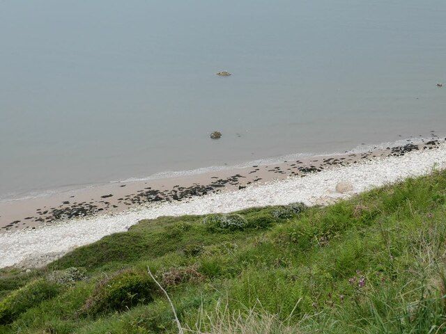 Foot of Speeton Cliffs