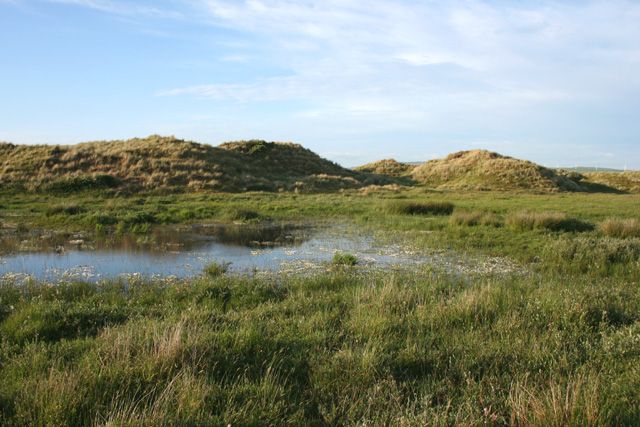 Pool in the sand dunes of Sandscale Haws