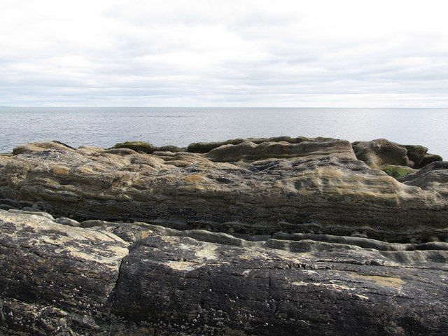 Sheep on the beach at William's Bay south of Bloody Bridge