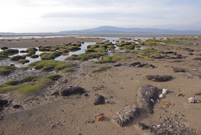 Foreshore, Askam-in-Furness