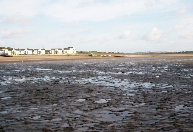 Exposed mud at the confluence of the Carrigs and Blackstaff Rivers in Dundrum Inner Bay
