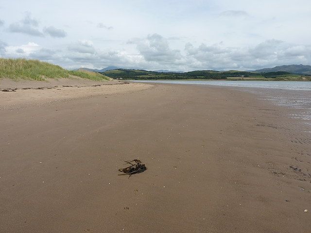Looking up the Esk estuary