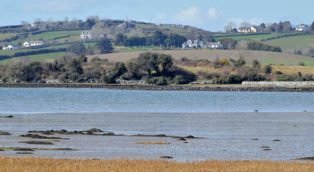 Ringneill Bay, Strangford Lough (2)