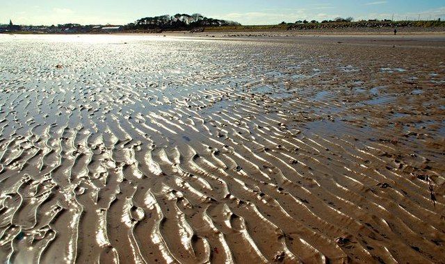 The shore near Ballywalter