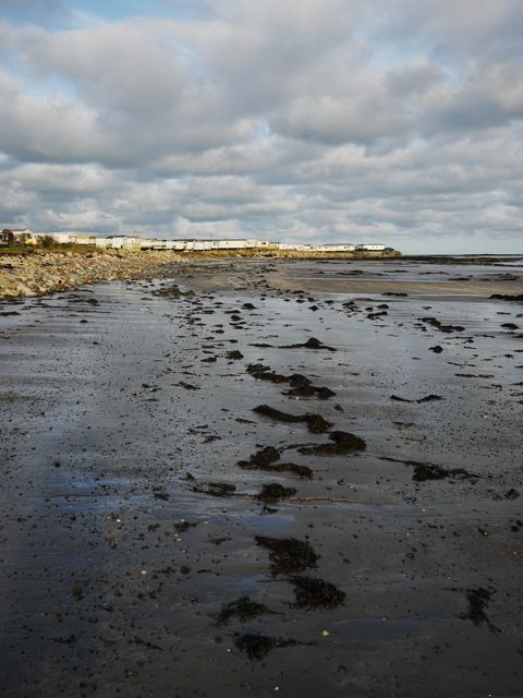 Shoreline near Ballywalter