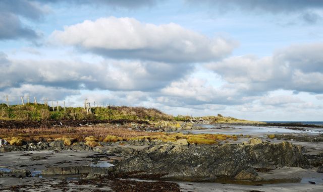 Shoreline at Ballyferis