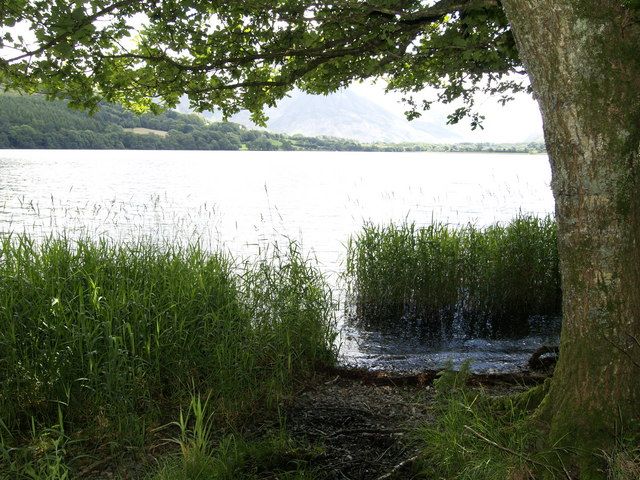 On the shore of Loweswater