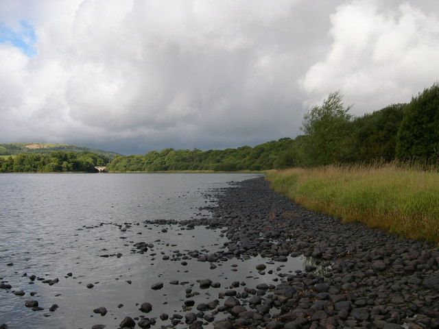 Northern shore of Bassenthwaite Lake