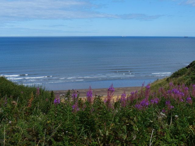 The beach near Blackhall Colliery