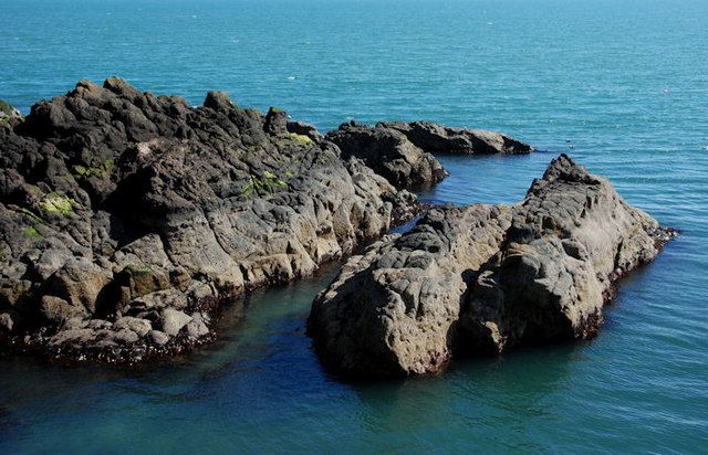 The shore near Whitehead (3)
