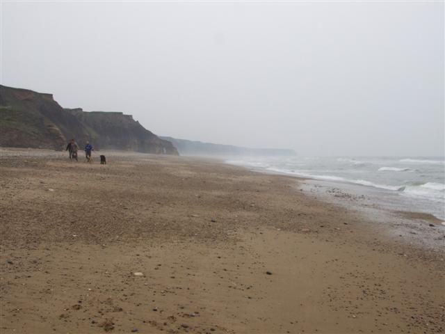 Seaham Beach, looking towards Pincushion Rocks