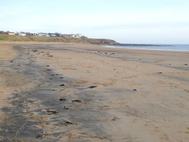 Along the beach to Whitburn