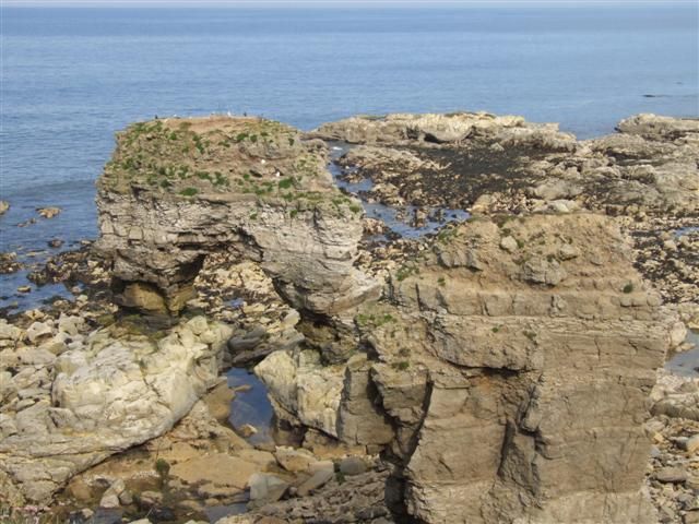 Stacks off Lizard Point