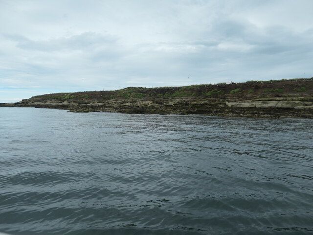 The western shore of Coquet Island