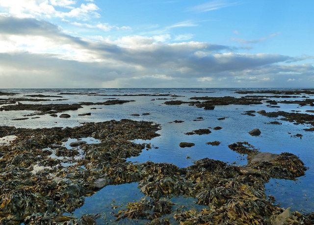 Maybole Shore View