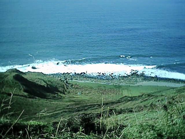Near to Earadale Point, west side of the Mull of Kintyre.