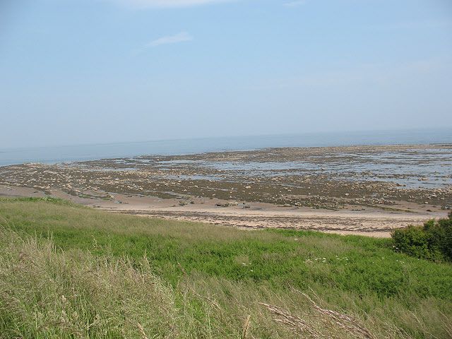 Marden Rocks near Alnmouth