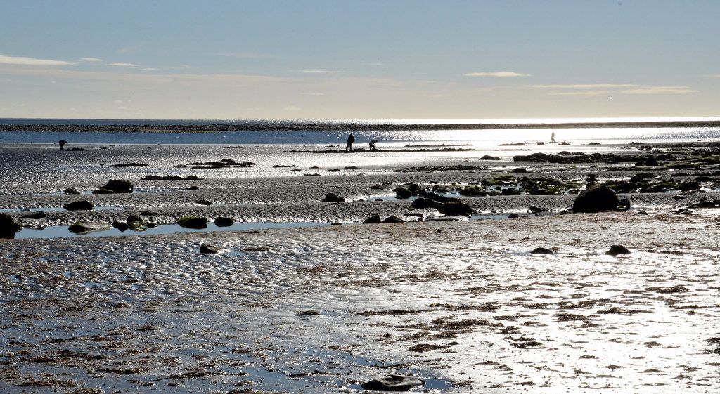 Boulmer beach