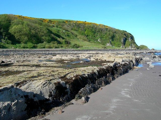 Wave-Cut Platform At Bracken Bay