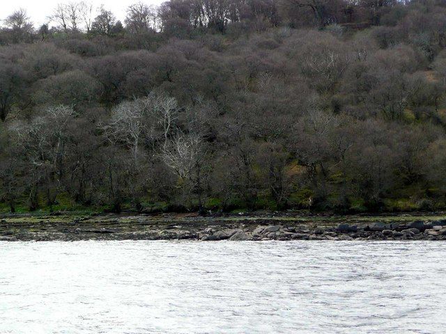 Shoreline NW of Kingscross Point