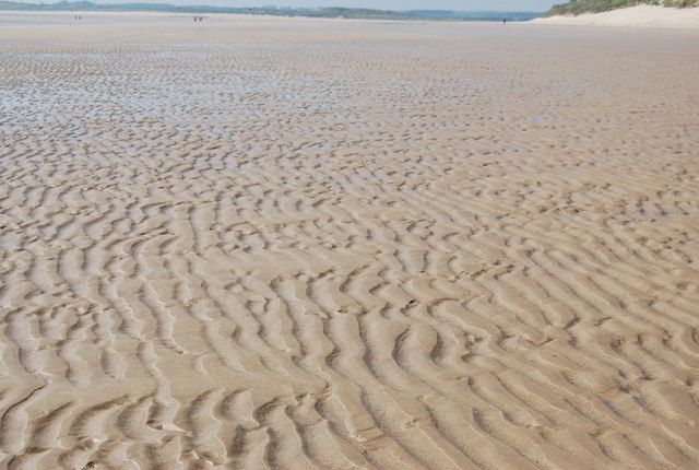 Beadnell Sand Dunes