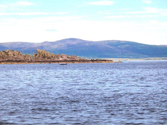 Minke Whale in Carradale Bay just off Carradale Point.