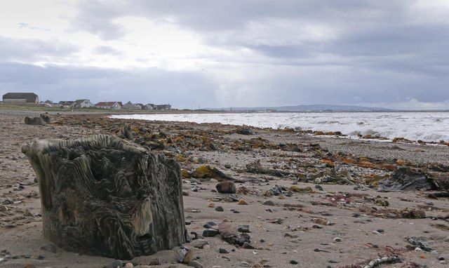 Timbers on Barassie Sands, Ayrshire
