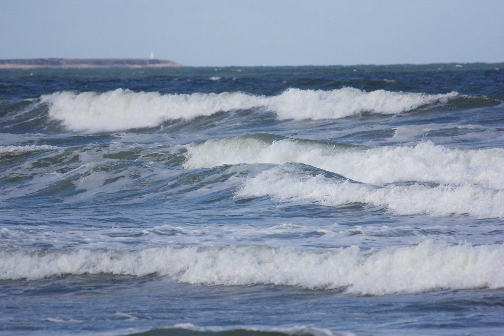 Little bird, big wave, Bamburgh