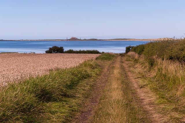 Track to the shore