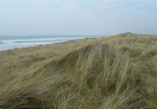 Marram Grass at Laggan Bay